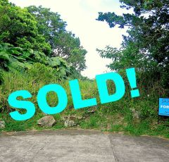 Sold Upper Hell's Gate Land
