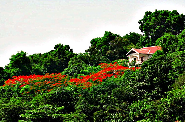 Tamarinda Cottage Booby Hill Saba