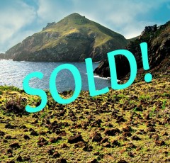 Flat Point Land SOLD