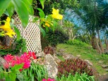 Althea Cottage Saba Windwardside