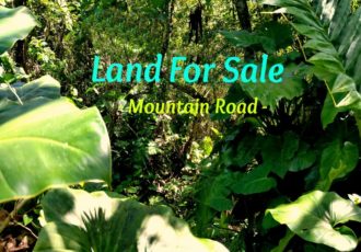 Mountain Road Land For Sale Saba