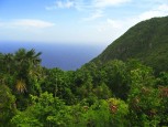 Water View Saba Dutch Caribbean