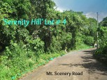 Serenity Hill Land For Sale Saba