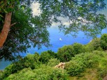 Diamond Rock Wells Bay Saba