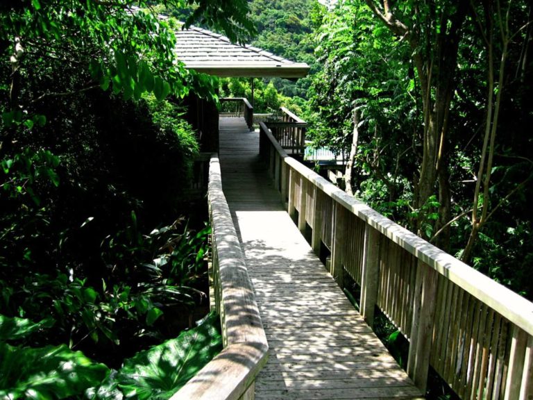 Haiku House For Sale + For Rent Albert & Michael Saba Island