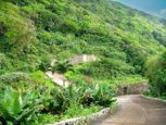 2 Mount Scenery Road Lots For Sale - Albert & Michael - Saba Island properties