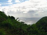 Mount Scenery Road Lots For Sale - Albert & Michael - Saba Island Properties