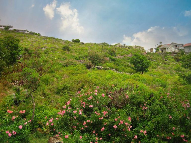 Lower Hell's Gate Land For Sale - Albert & Michael - Saba Island Properties