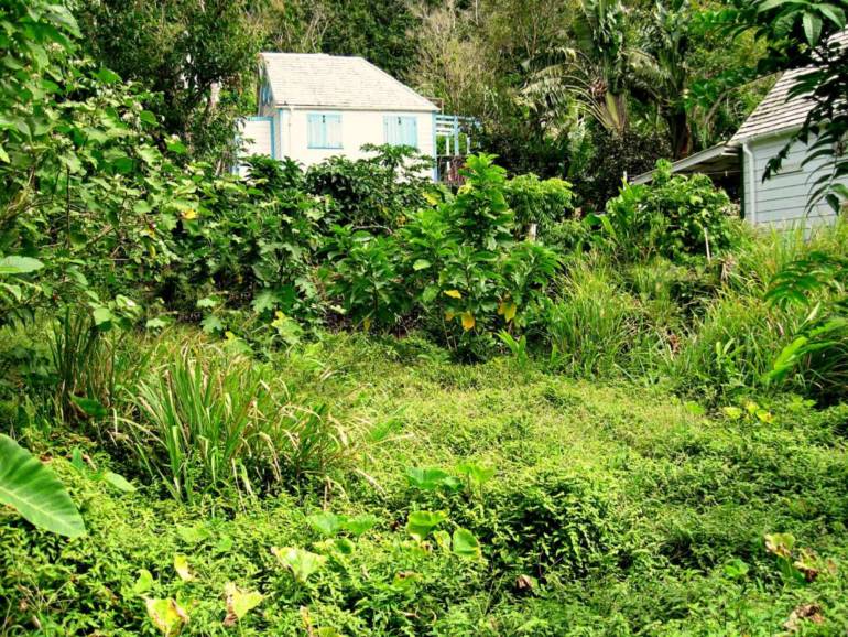 Land at Rendez-Vous - Albert & Michael - Saba Island Properties