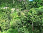 Champagne Cottage - For Sale - Albert & Michael - Saba Island Properties