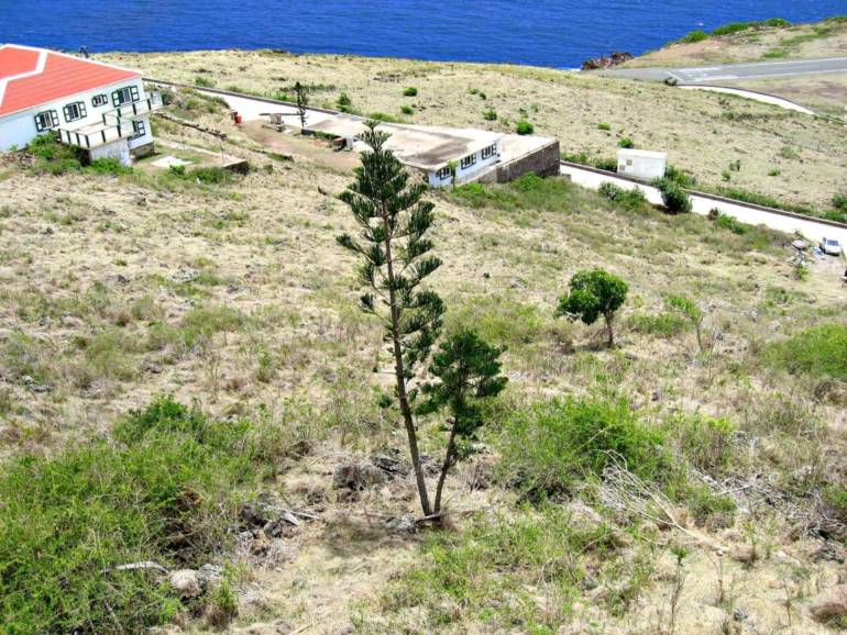 Flat Point Land For Sale - Albert & Michael - Saba Island Properties