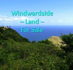 Windwardside Land - For Sale - Albert & Michael - Saba Island Properties