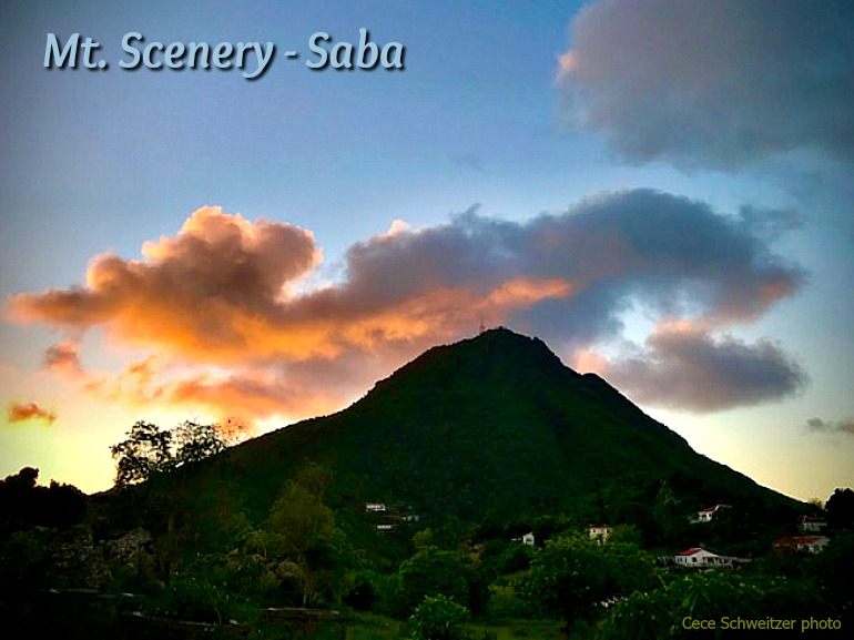 Saba Leads - Albert & Michael - Sab Island Properties