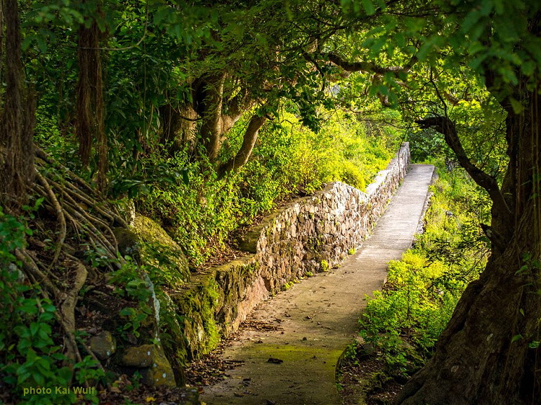 Saba Grounds You - Albert & Michael - Saba Island Properties