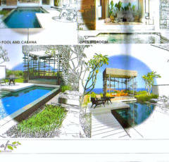 Leaf Resort - Land For Sale - Albert & Michael - Saba Island Properties