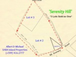 Three Mt. Scenery Road Lots - In Contract - Albert & Michael - Saba Island Properties