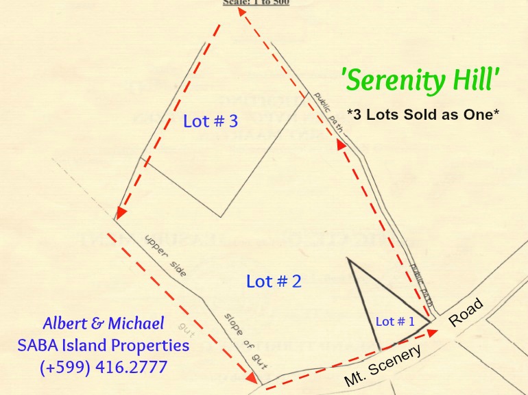 Three Mt. Scenery Road Lots - In Contract - Albert & Michael - Saba Island Properties