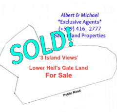 3 Island Views - Sold! - Saba Island properties - Albert & Michael