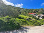 3 Island Views - Land For Sale - Albert & Michael - Saba Island Properties