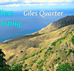 Giles Quarter - Land For Sale - Saba Island Properties - Albert & Michael
