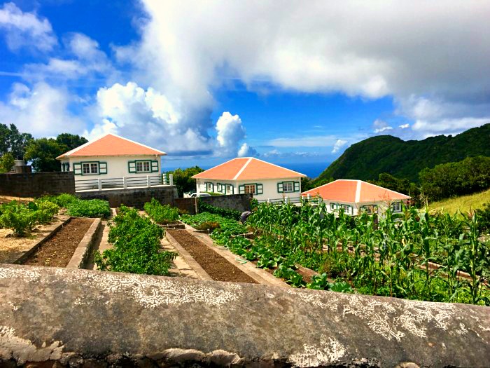 Organic Garden - Saba Island Properties - Albert & Michael