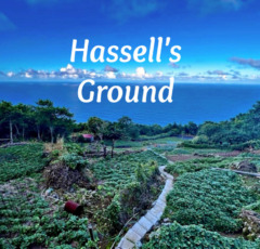 Hassell's Ground - For Sale - Albert & Michael - Saba Island Properties