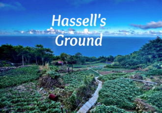 Hassell's Ground - For Sale - Albert & Michael - Saba Island Properties