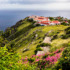 What Is the Culture of Saba? - Albert & Michael - Saba Island Properties