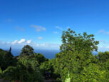 Sunrise Home - For Sale - Saba Island Properties - Albert & Michael