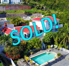 Bogan's House - SOLD - Albert & Michael - Saba Island Properties