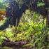 Saba Sustainability - Albert & Michael - Saba Island Properties