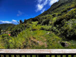 The Rock House - For Sale - Saba Island Properties - Albert & Michael