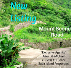 Mount Scenery Land For Sale - Albert & Michael - Saba Island Properties