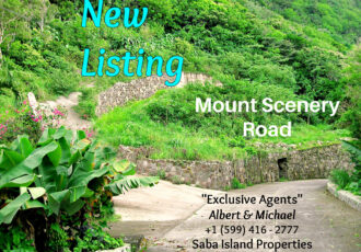 Mount Scenery Land For Sale - Albert & Michael - Saba Island Properties