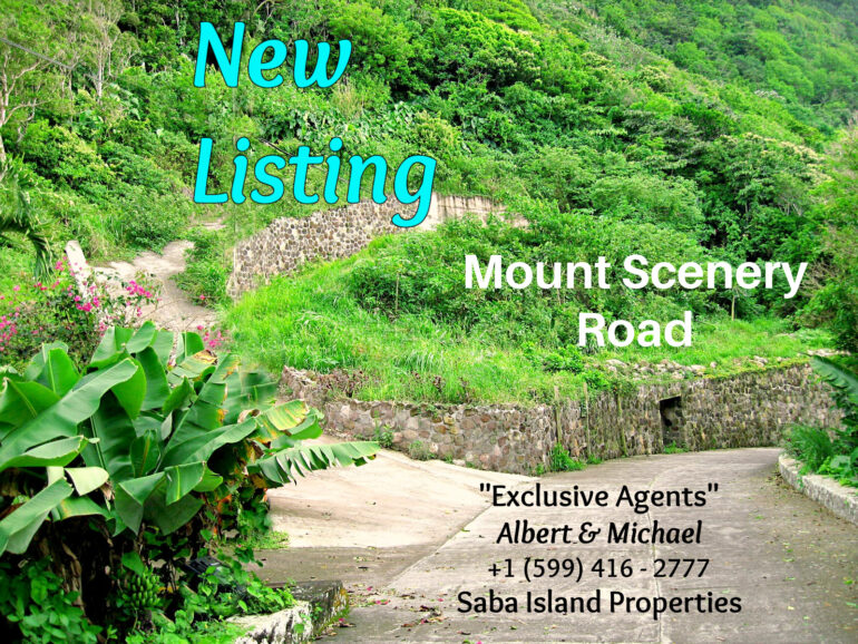 Mount Scenery Land For Sale - Albert & Michael - Saba Island Properties