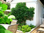 Tulla's Cottage - Saba - Albert & Michael - Saba Island Properties