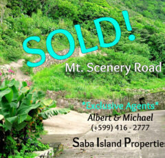 Mt. Scenery Road Land - SOLD - Albert & Michael - Saba Island Properties
