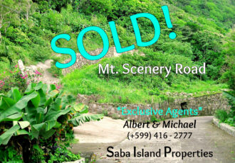 Mt. Scenery Road Land - SOLD - Albert & Michael - Saba Island Properties